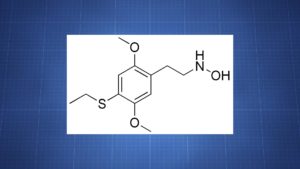 HOT-2 Structure