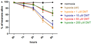 DMT's effect on neuron survival during hypoxia