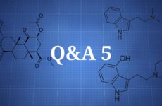 Q&A 5