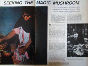 Psilocybin Mushroom Article (LIFE, 1957)