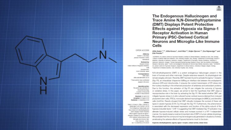 DMT