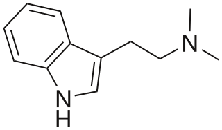 Dimethyltryptamine (DMT) Structure